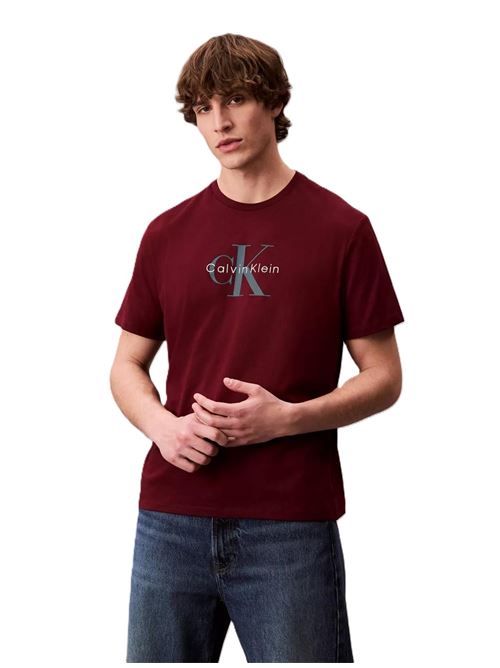  CALVIN KLEIN JEANS | LV04RB862G/VLP